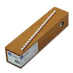 GBC CombBind Standard Spines, 1/4" Diameter, 25 Sheet Capacity, White, 100/Box GBC4000014