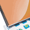 GBC Design View Presentation Binding System Covers, 11 x 8-1/2, Frost, 25/Pack GBC2514499