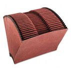 Globe-Weis 1-31 Accordion Open File, 31 Pockets, 1/3 Tab, Letter, Brown GLWR217DHD