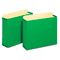 Globe-Weis 3 1/2 Inch Expansion File Cabinet Pockets, Straight, Letter, Green, 10/Box GLWFC1524EGRE