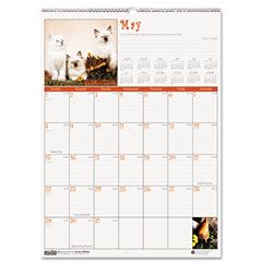 House of Doolittle Kittens Monthly Wall Calendar, 12 x 12, 2012 HOD3661