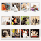 House of Doolittle Kittens Monthly Wall Calendar, 12 x 12, 2012 HOD3661