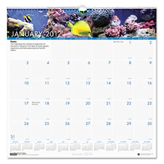 House of Doolittle Sea Life Monthly Wall Calendar, 12 x 12, 2012 HOD3641