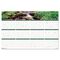 House of Doolittle Waterfalls of the World Reverse/Erase Yearly Wall Calendar, 24 x 37, 2012 HOD397
