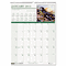 House of Doolittle Wild Birds Monthly Wall Calendar, 12 x 16-1/2, 2013 HOD3712