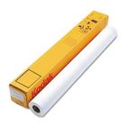 Kodak Water-Resistant Poly Poster Paper, 36" x 100 ft, White BMG22006100