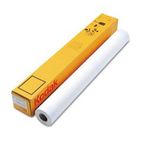 Kodak Water-Resistant Self-Adhesive Poly Poster Paper, 36" x 100 ft, White BMG22006700