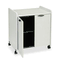 Mayline Mobile Utility Cabinet, 27w x 20d x 31h, Nebula Gray/Black MLN2110MUNGB