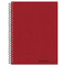 National Brand 3-Subject Notebook, College/Margin Rule, 6-3/8 x 9-1/2, WE, 120 Sheets RED31364
