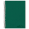 National Brand 3-Subject Notebook, College/Margin Rule, 6-3/8 x 9-1/2, WE, 120 Sheets RED31364