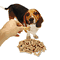 Office Snax Doggie Biscuits, 10lb Box OFX00041
