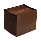 Pendaflex Open Top 1-31 Expanding File, 31 Pockets, Redrope, Letter, Redrope ESSR17DOX