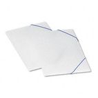Pendaflex Twin-Pocket Poly Wallet, Poly, Letter, Blue/Ice ESS52341
