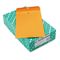 Quality Park Clasp Envelope, 9 1/4 x 14 1/2, 28lb, Light Brown, 100/Box QUA37894