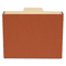 S J Paper File Cabinet Pocket, 1/3 Cut Tab, 3 1/2" Exp, Letter, Red, 10/PK SJPS75244