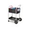 Safco Scoot Mail Cart, 1-Shelf, 22w x 27d x 40-1/2h, Black/Silver SAF5238BL
