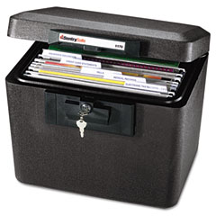 Sentry Safe Security Letter Size Hanging File, .61 ft, 15-1/4w x 12-1/8d x 13-5/8h, Black SEN1170BLK