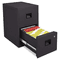 SentrySafe 6000B 2-Drawer Office Fire File Black (Discontinued & Upgrade with 2B2100)