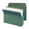 Smead 3 1/2 Inch Hanging File Pockets with Sides, Letter, Standard Green, 10/Box SMD64220
