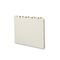 Smead Recycled Top Tab File Guides, Daily, 1/5 Tab, Pressboard, Letter, 31/Set SMD50369