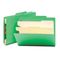 Smead Top Tab Classification Folders, Two Dividers, Six-Section, Green, 10/Box SMD14002