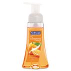 Softsoap Pampered Hands, Tangerine Treat, 8.5 oz Pump Bottle, 6 per Carton CPM29197