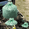 Stout EcoSafe-6400 Compostable Bags, .85mil, 33 x 48, Green, 50/Carton STOE3348E85