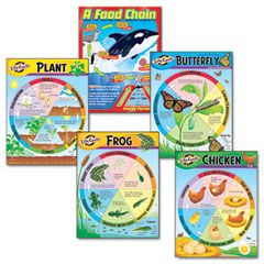 TREND Learning Chart Combo Pack Life Cycles, 17w x 22h, 5/Pack TEPT38934