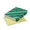 Wausau Paper Exact Vellum Bristol Cover Stock, 67 lbs., 8-1/2 x 11, Yellow, 250 Sheets WAU82331