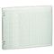 Wilson Jones Accounting Sheets, 10 Columns, 11 x 14, 100 Loose Sheets/Pack, Green WLJG3010