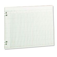 Wilson Jones Accounting Sheets, 24 Columns, 11 x 14, 100 Loose Sheets/Pack, Green WLJG3024
