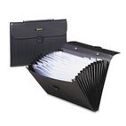 Wilson Jones Expanding Brief, 13 Pockets, Poly, Letter, Black/Clear WLJ91165