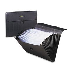 Wilson Jones Expanding Brief, 13 Pockets, Poly, Letter, Black/Clear WLJ91165