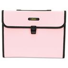 Wilson Jones Seven-Pocket Expanding File, 5 1/4 Inch Expansion, Letter, Pink WLJ61012