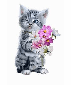 pink flower bouquet