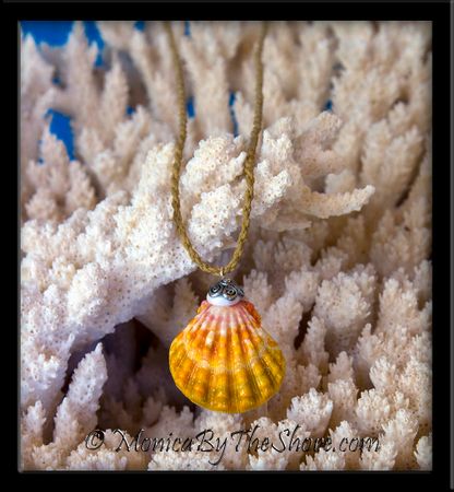 Bali "Country Style Hawaiian Sunrise Shell and Puka Shell Cord Necklace