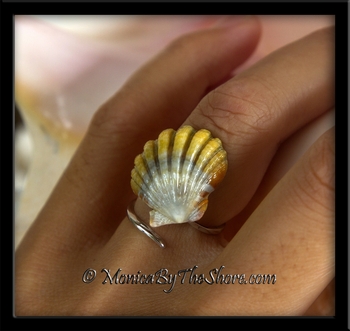 Calico Hawaiian Sunrise Shell Slant Band Silver Ring