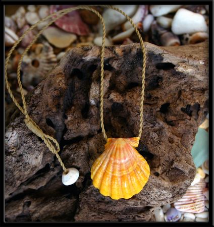 Bold Gold Hawaiian Sunrise Shell Natural Cord Necklace