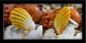 Bright Yellow Extra Large Hawaiian Sunrise Shell Sterling Silver Ring