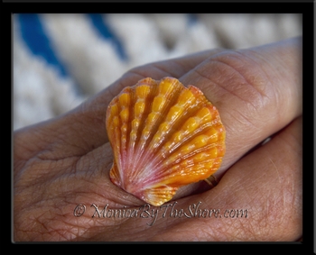 Brilliant Orange & Pink Hawaiian Sunrise Shell Fine Silver Ring