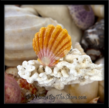 Classic Gold Pink Hawaiian Sunrise Shell Sterling Silver Ring