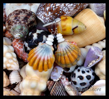 Colorful Hawaiian Sunrise Shell and Puka Shells Earrings