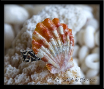 Crisp White & Deep Orange Hawaiian Sunrise Shell Toe or Pinky Ring