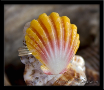 Custom Classic Sunrise Shell Ring Denise