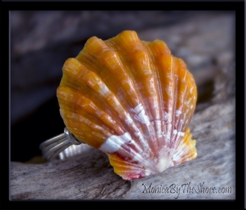 Custom for Claudia Hawaiian Sunrise Shell Engagement Ring