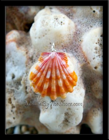 Custom for "Jenny" Papaya & Cream Sunrise Shell Pendant