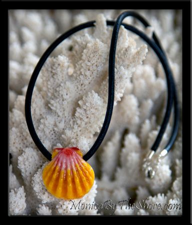 Custom "Haleiwa Hardware" Sunrise Shell Leather Necklace for Lori