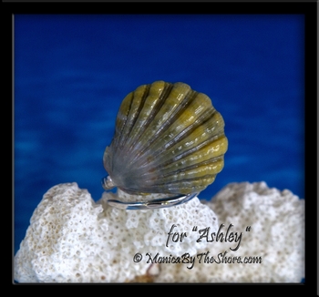 Custom "Moonrise" Sunrise Shell Slant Wrap Silver Ring