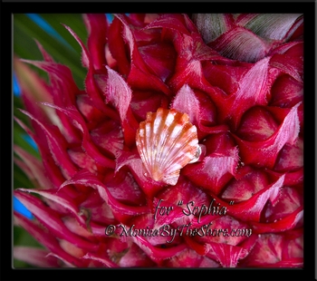 Custom Toddler Sized Sunrise Shell Sterling Silver Ring