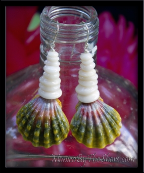 Dark Green & Red Large Hawaiian Sunrise Shell & North Shore Puka Shell Earrings